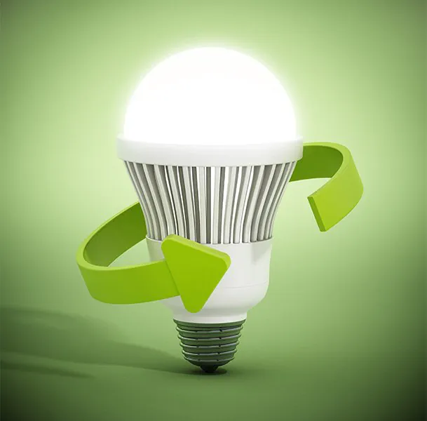 sustainable bulb