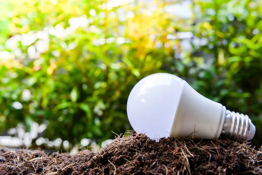 lampadina in un giardino